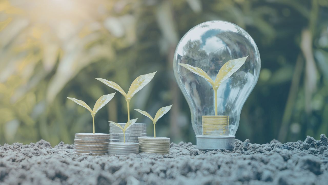 Illustration for Work Package 4: plants, care, sustainability